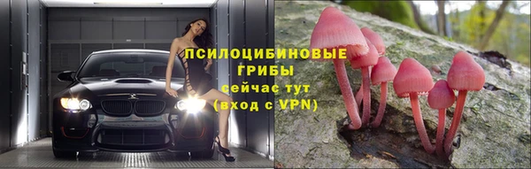 прущие крисы Алексин