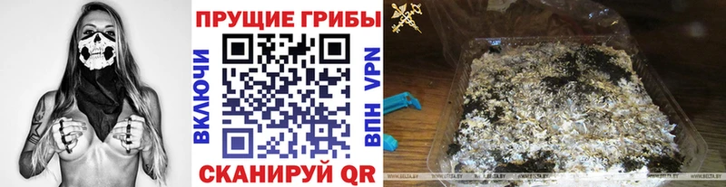 магазин  наркотиков  Анадырь  Галлюциногенные грибы Cubensis 